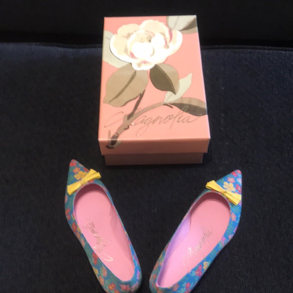 Pointed flat shoes